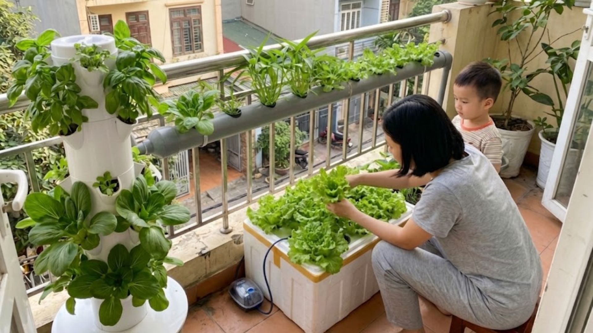 Bài học đầu tiên